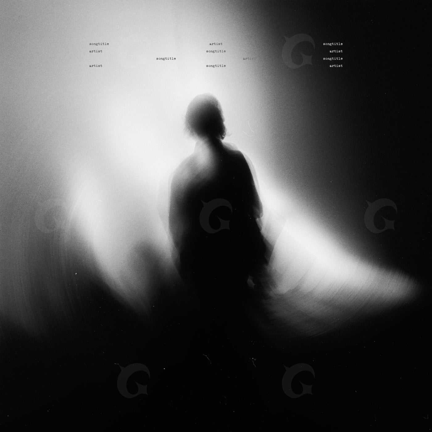 Silhouette amidst light