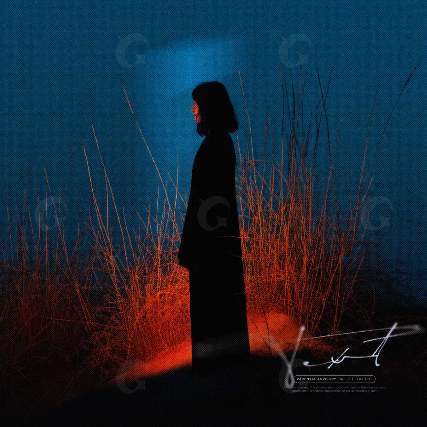 Midnight field silhouette