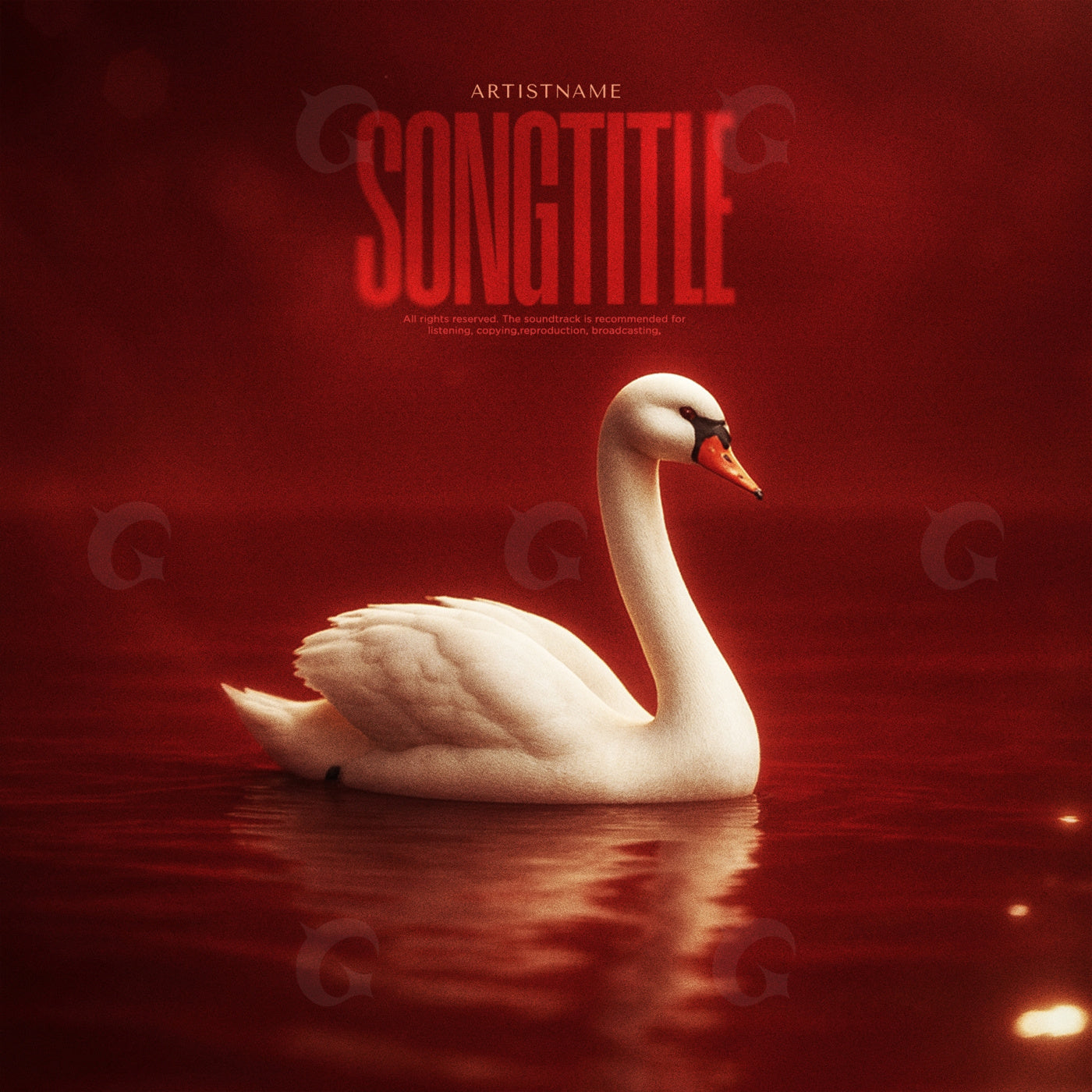 Swan on silent water