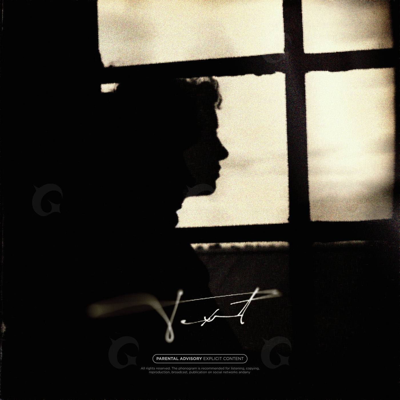 Windowed silhouette portrait