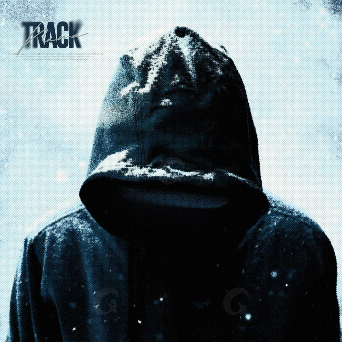 Hooded in snow