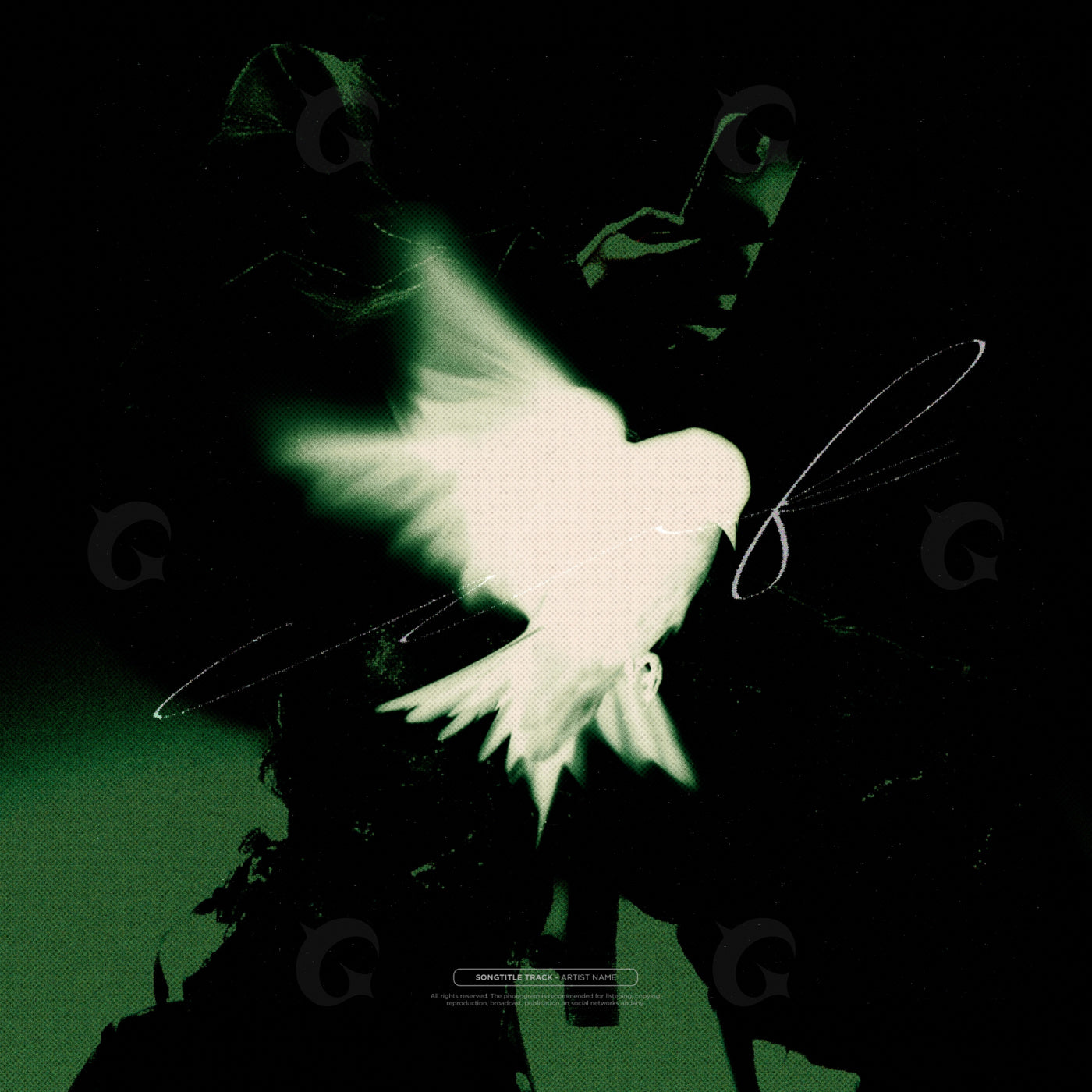 Dove in midnight