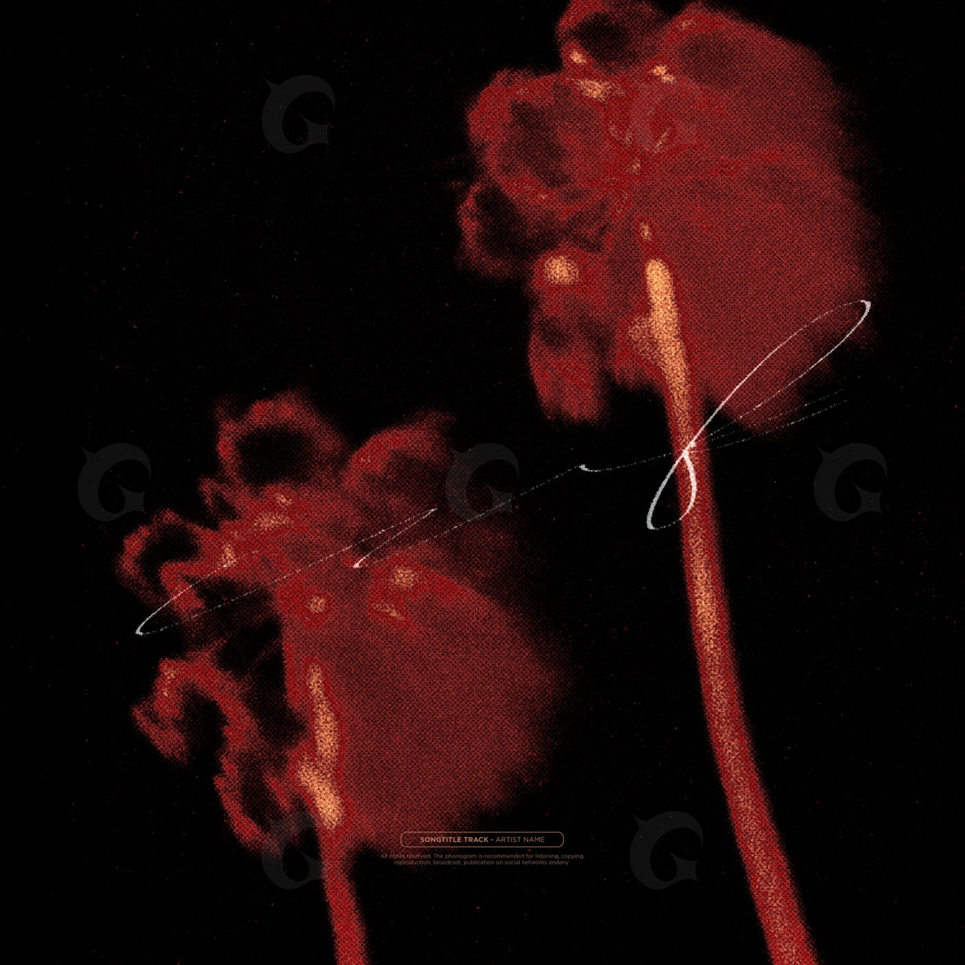 Twin jellyfish drift
