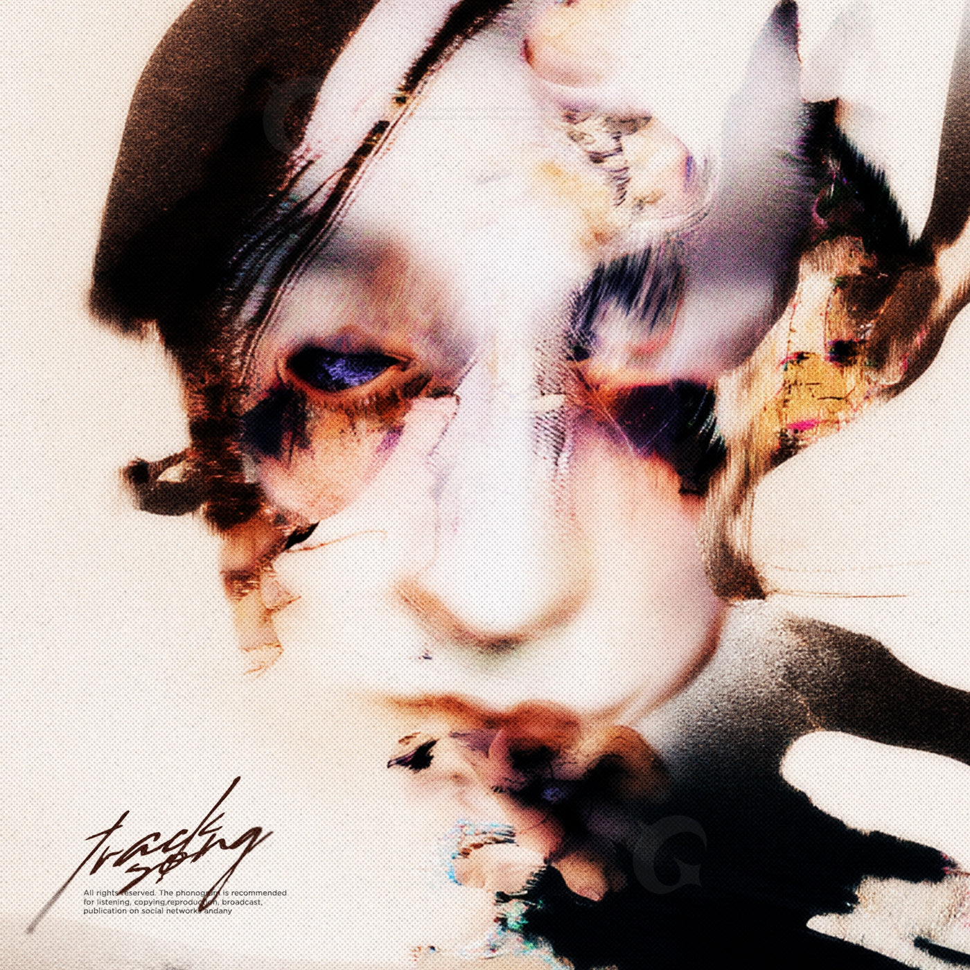 Fragmented human face