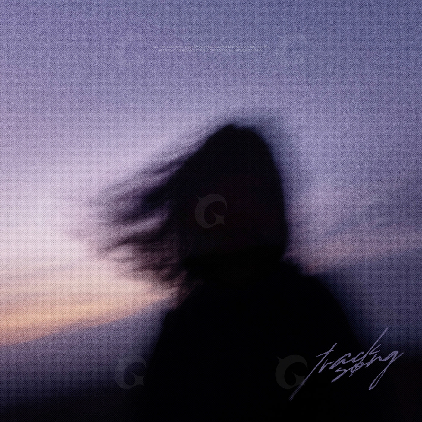 Silhouette against dusk
