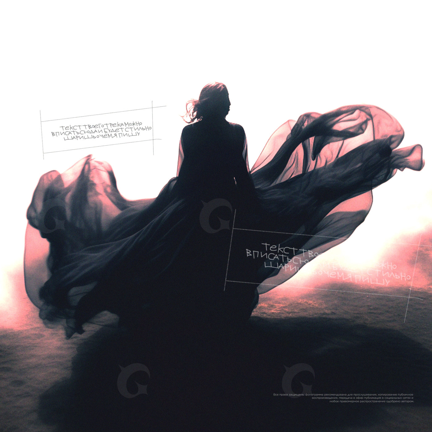 Silhouette with flowing gown