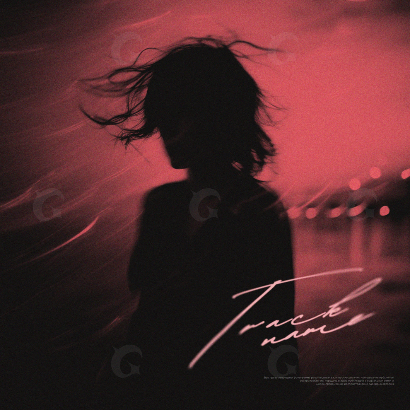Silhouette by shore