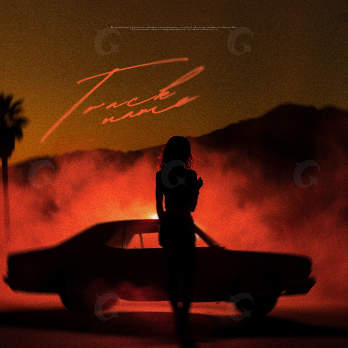Silhouette beside musclecar