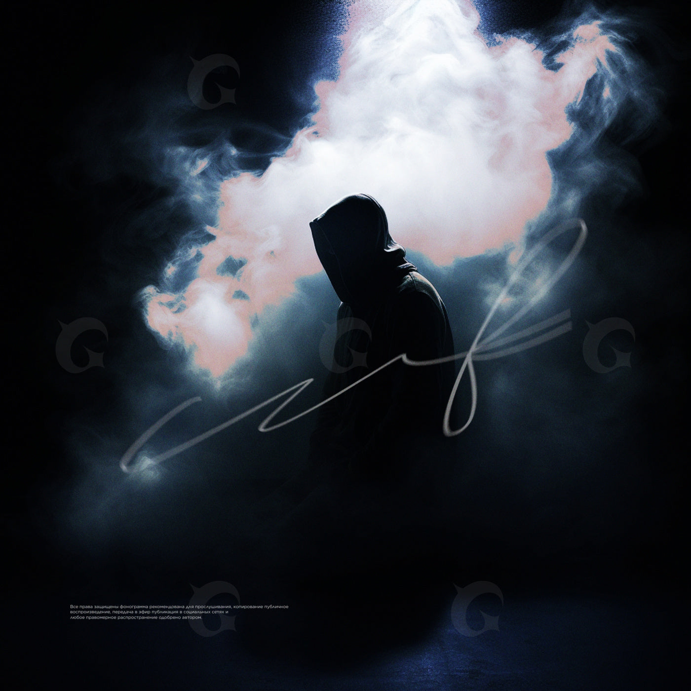 Hooded in mist
