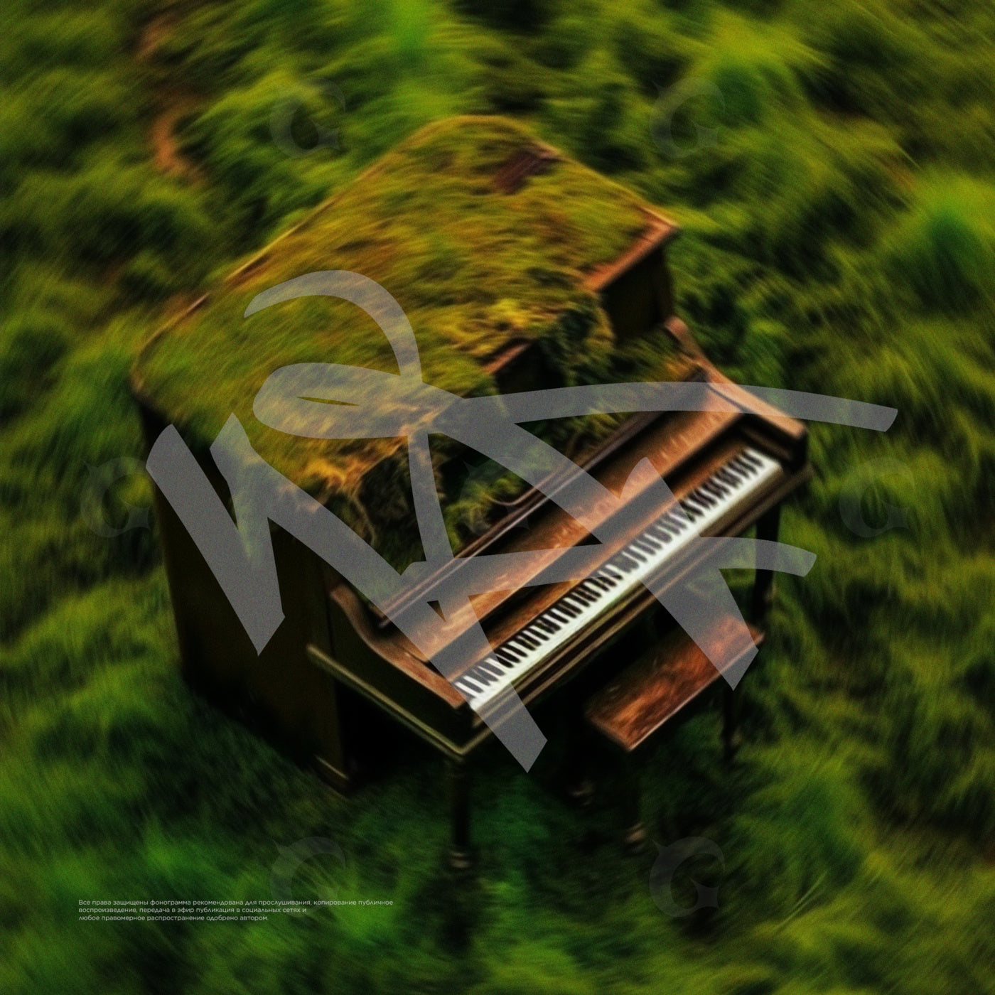 Moss covered piano