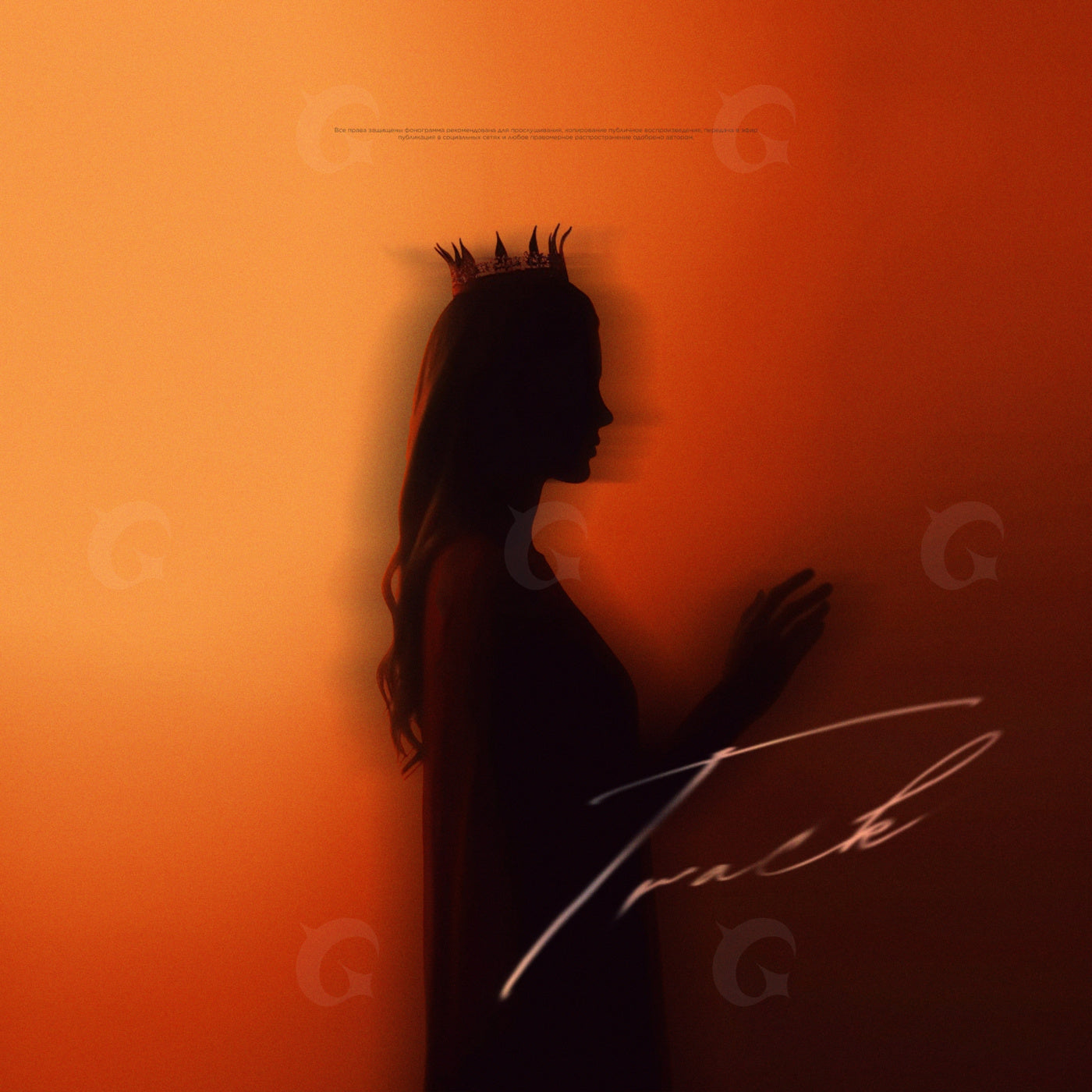 Shadowed crowned silhouette