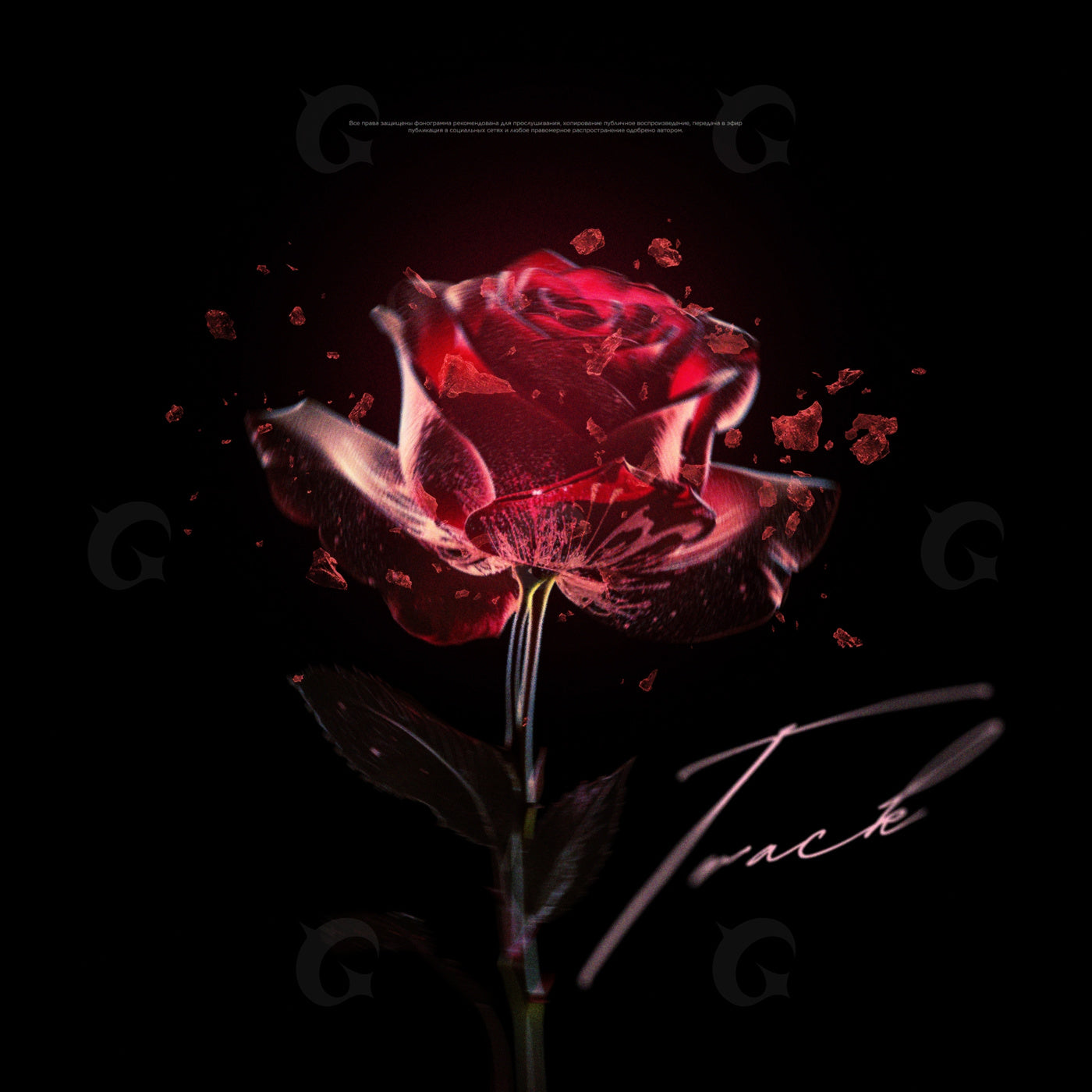 Shattered rose bloom