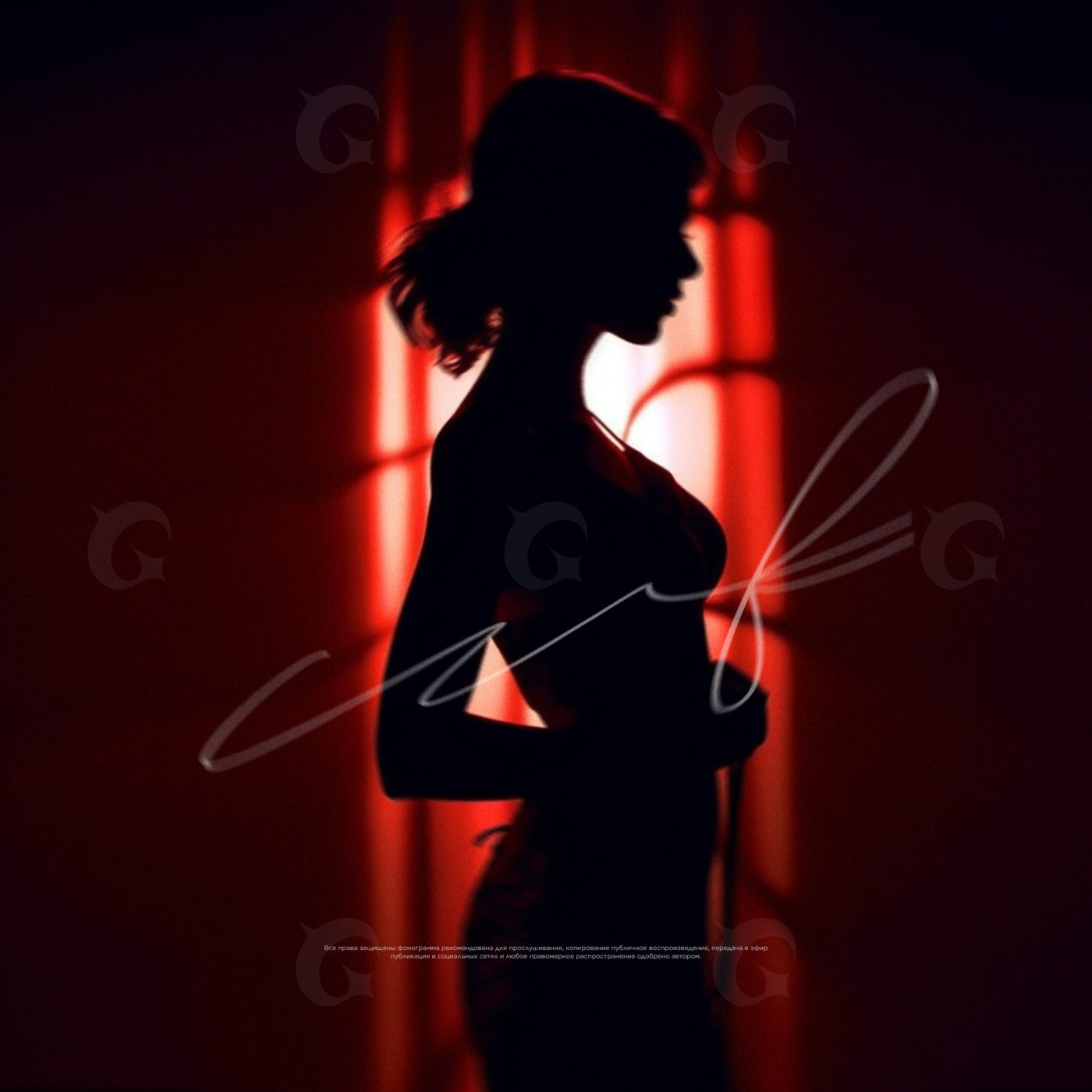 Silhouette by window