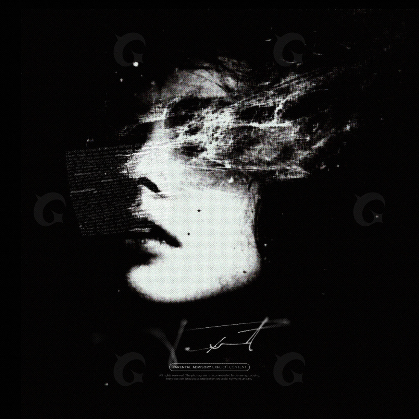 Veiled portrait echoes