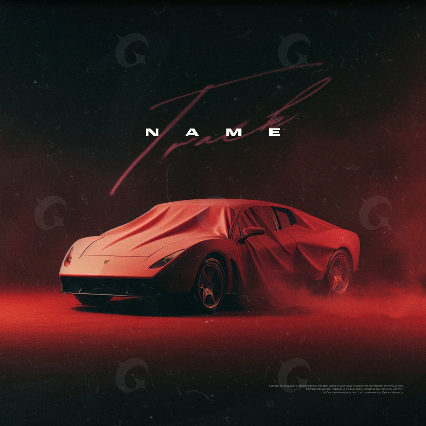 Shrouded sports car