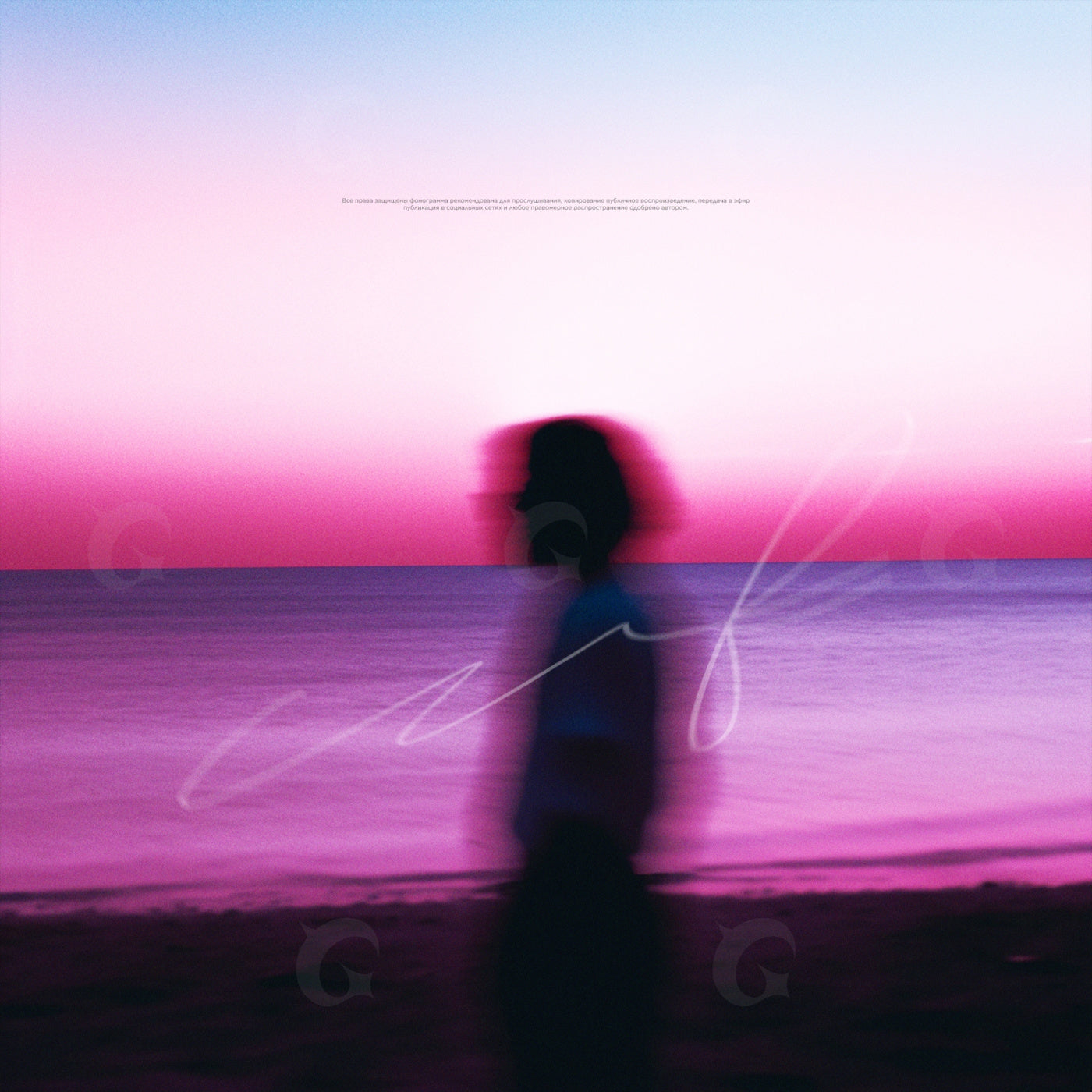 Silhouette at shore