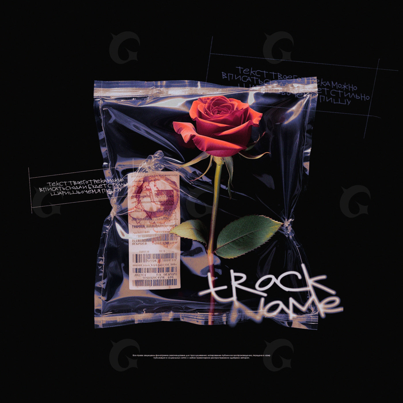 Sealed single rose