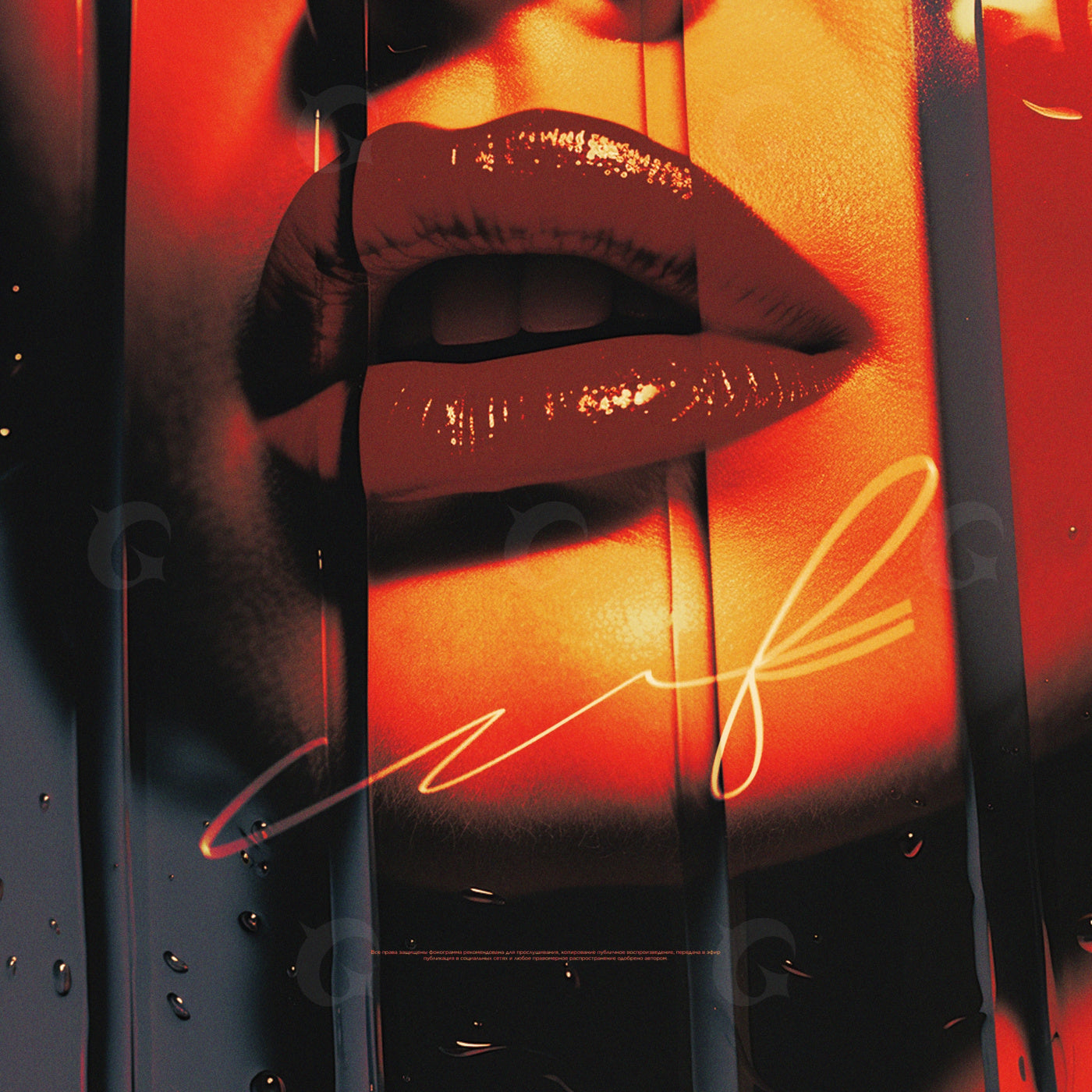 Glistening glossed lips