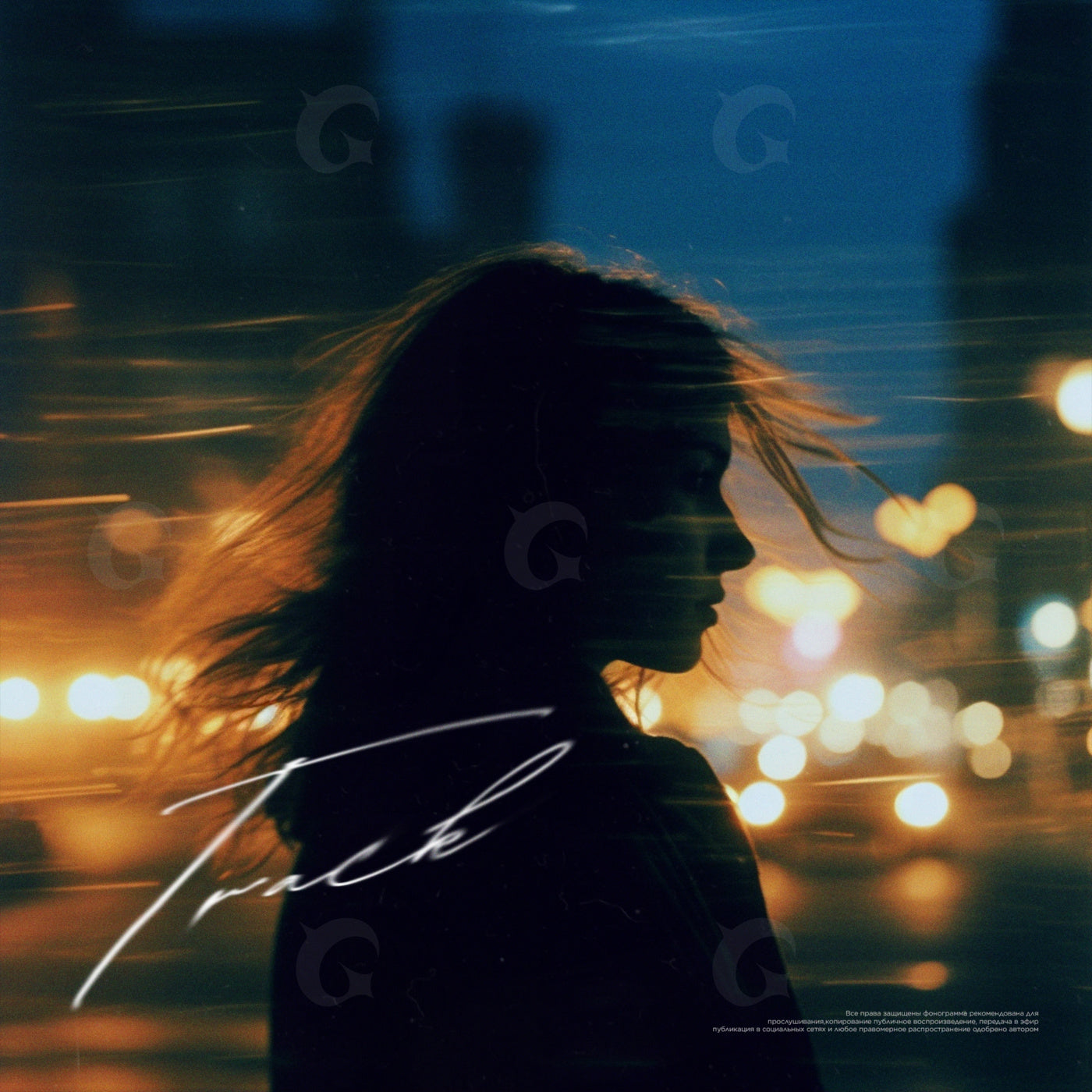 Midnight street silhouette