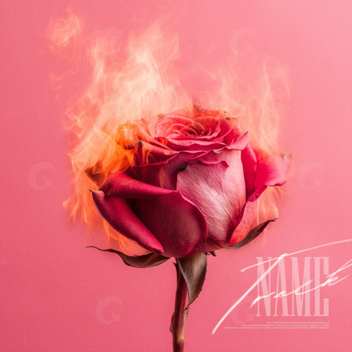 Blazing rose with flames