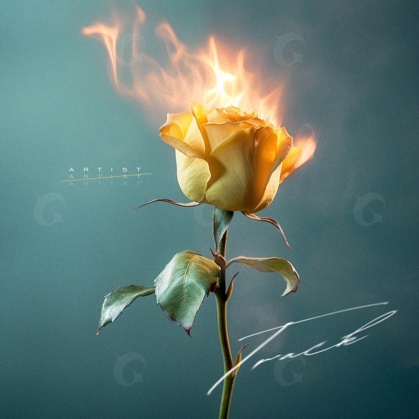 Burning rose stem