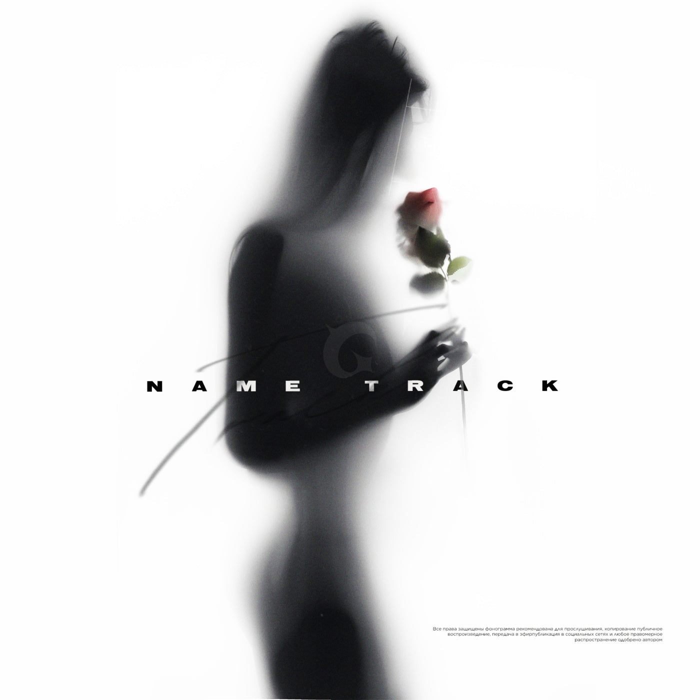 Silhouette holding rose