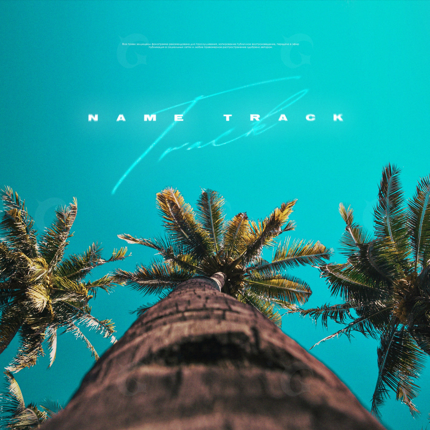 Tropical palm perspective
