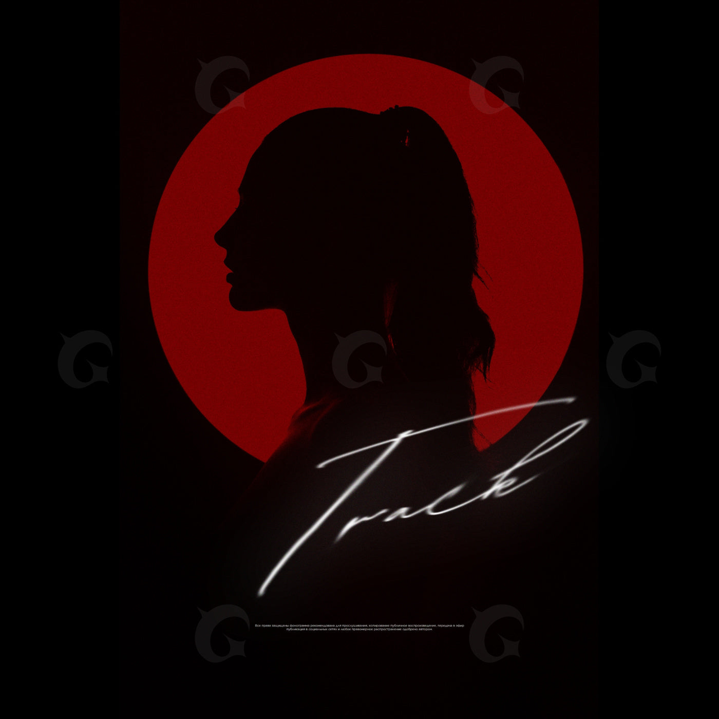 Silhouette against circle