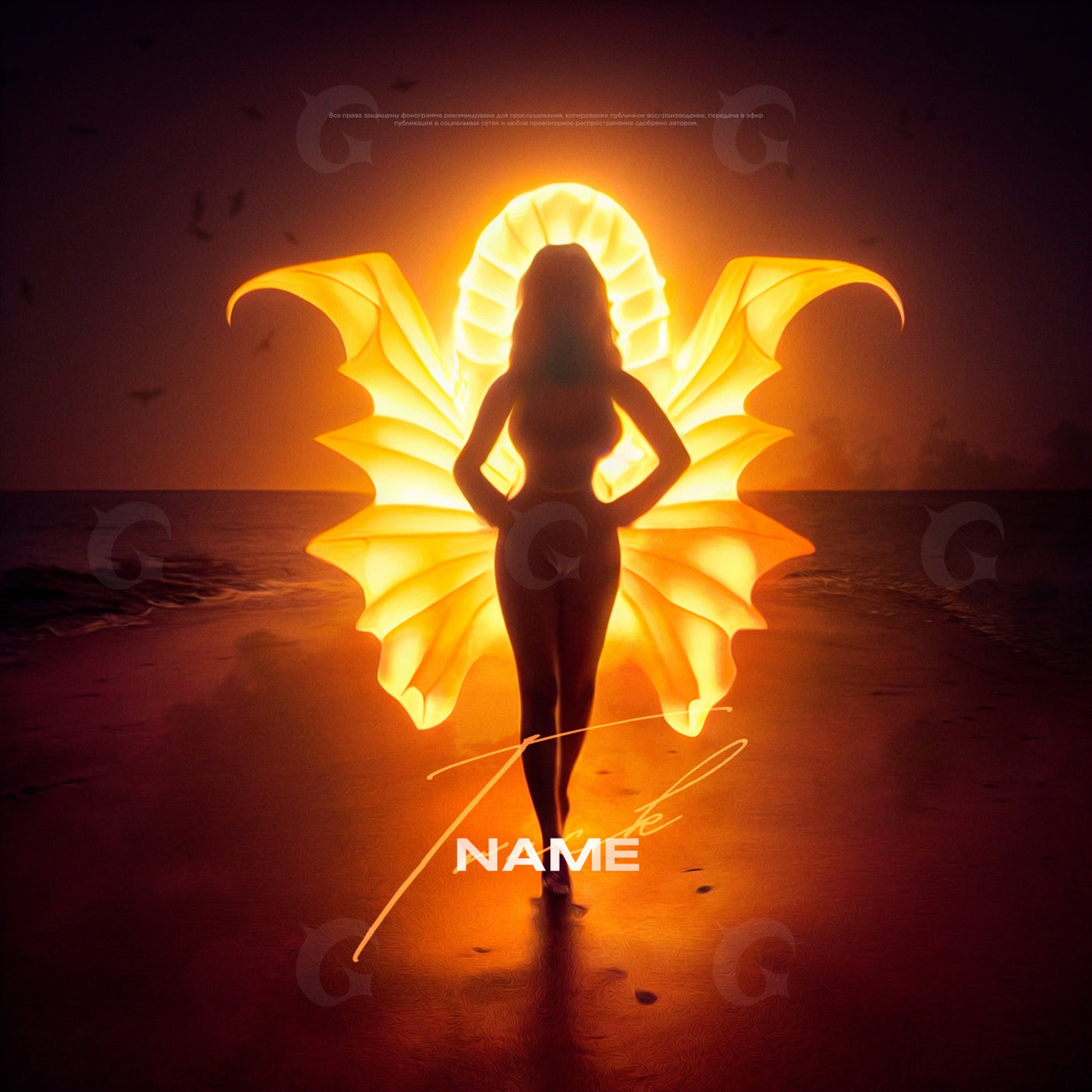Sunset winged silhouette