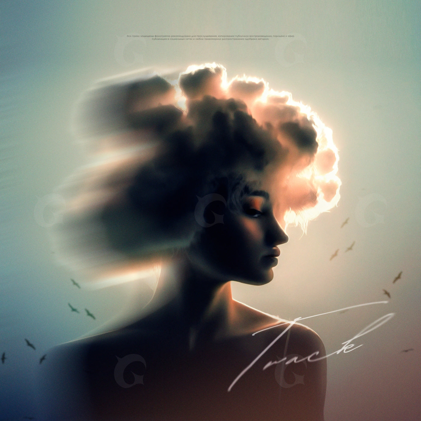 Clouds forming thoughts