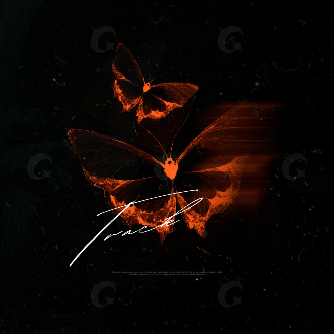 Two butterflies flight