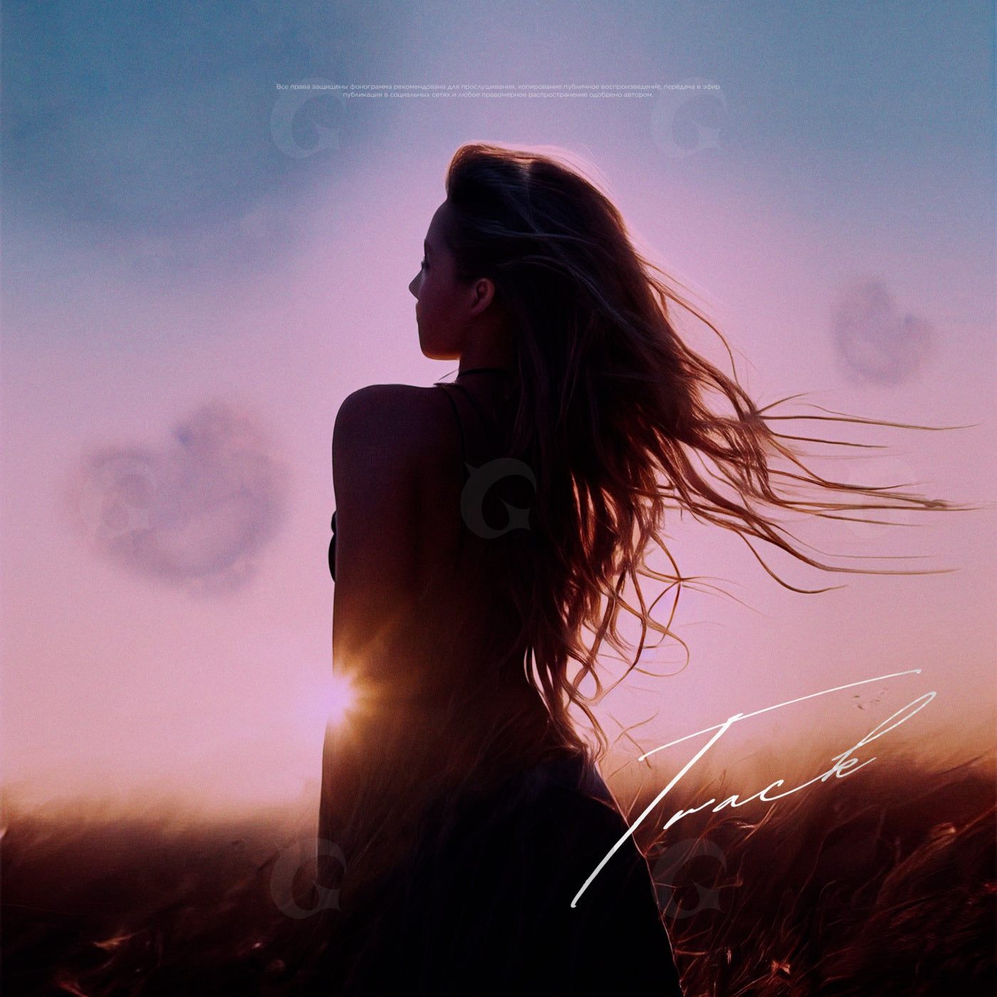 Silhouette against sunset