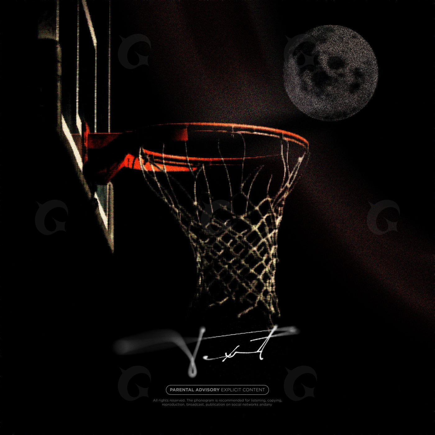 Moonlit net shot