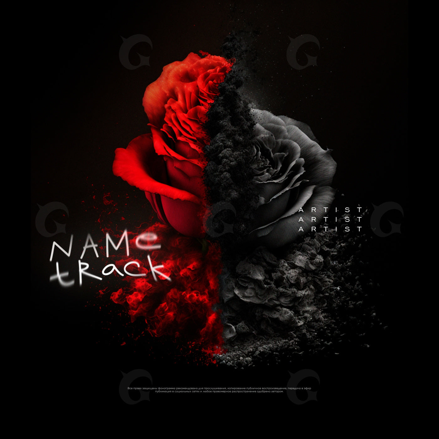 Rose divided bloom