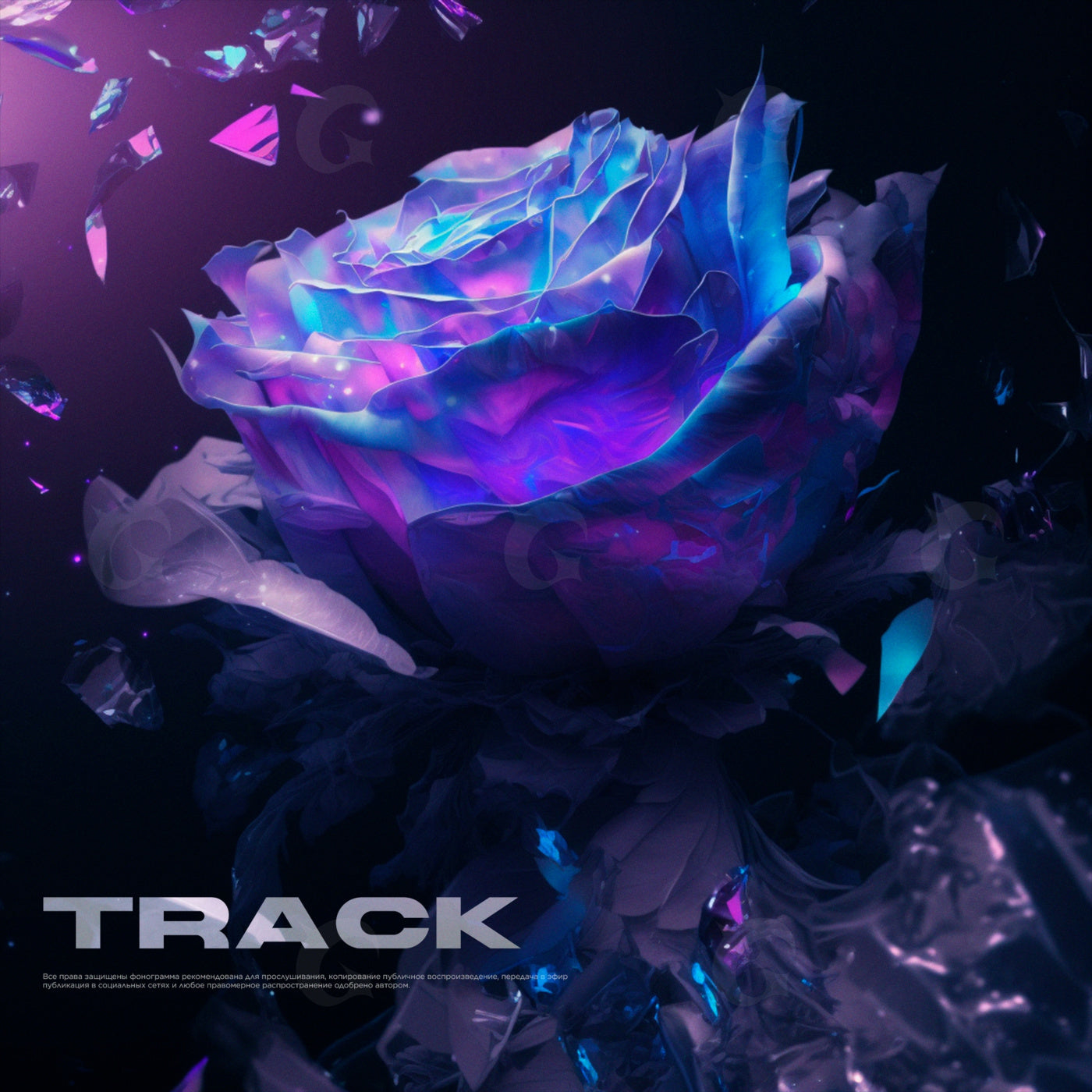 Neon rose bloom