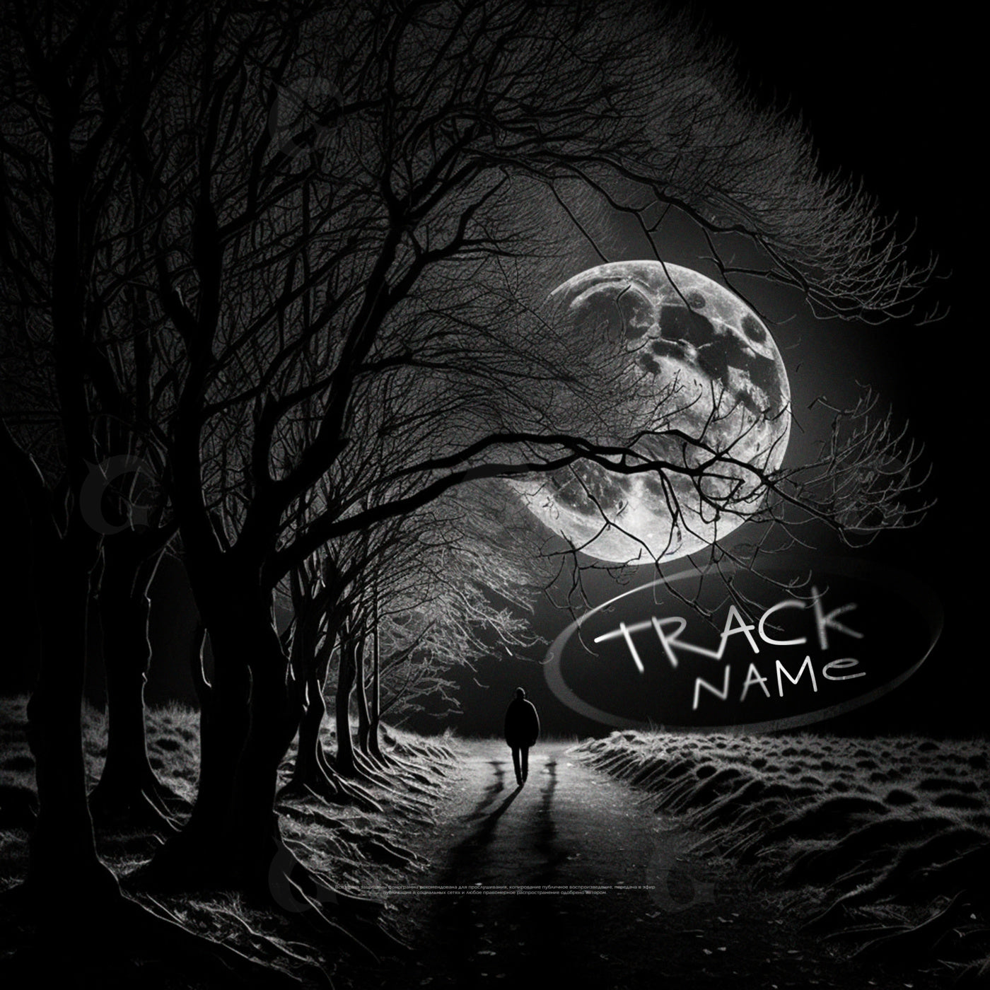 Moonlit path solitude