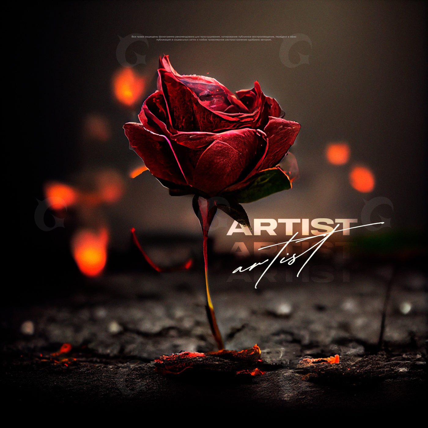 Rose amid ashes
