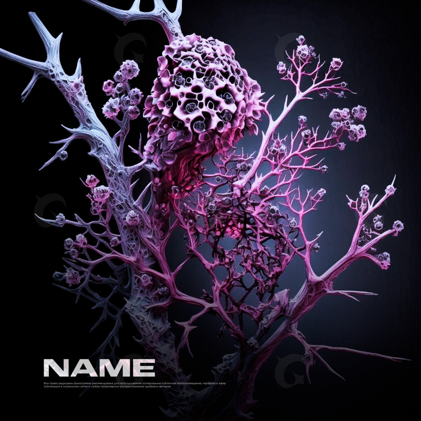 Thorny coral bloom