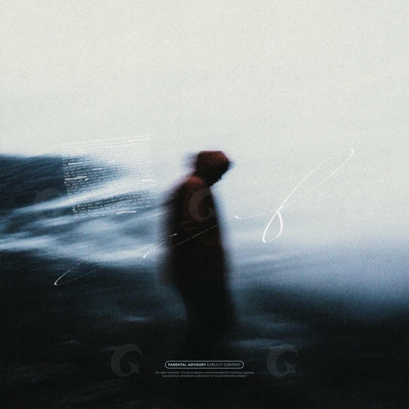 Silent shore wanderer