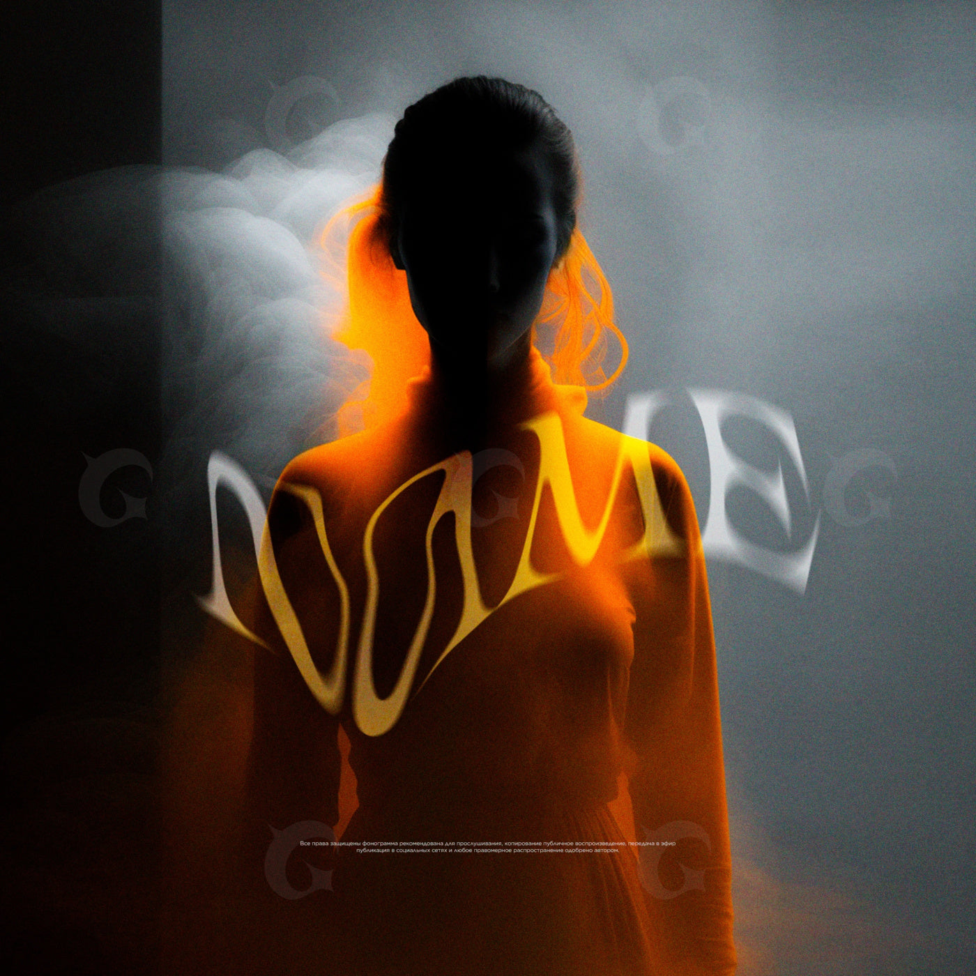 Silhouetted with light