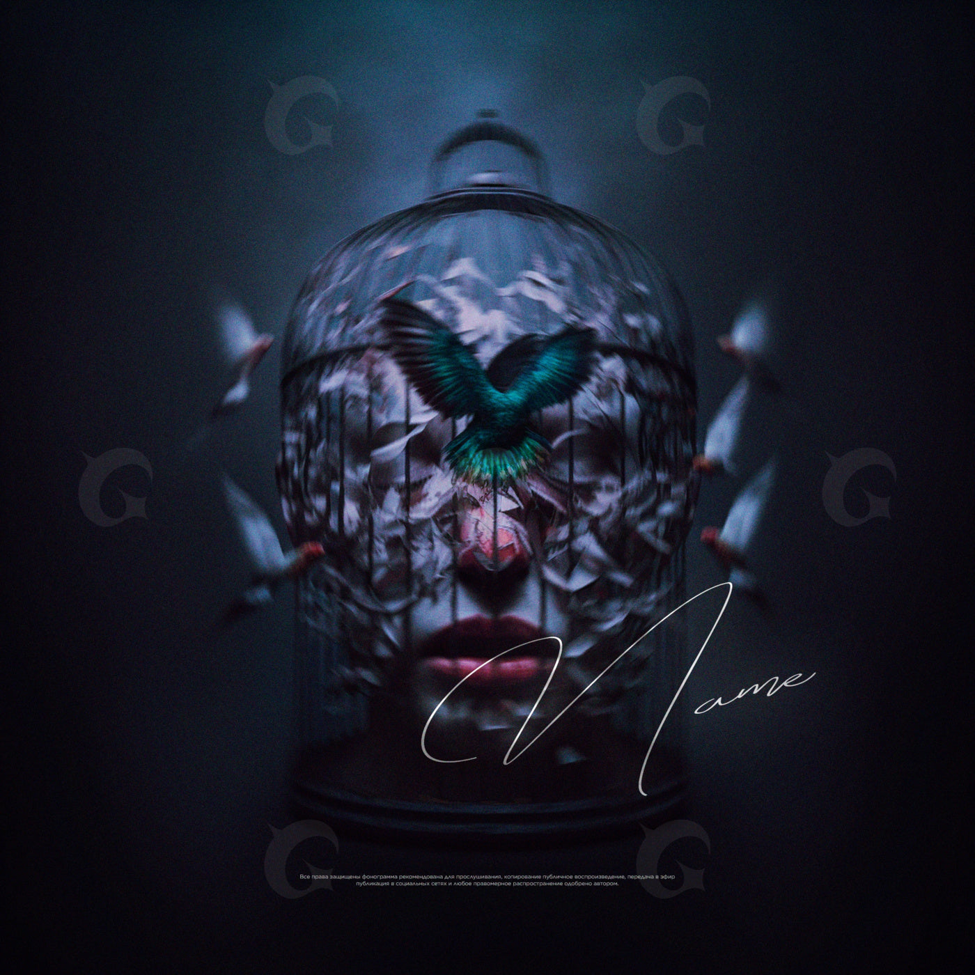 Caged face with bird