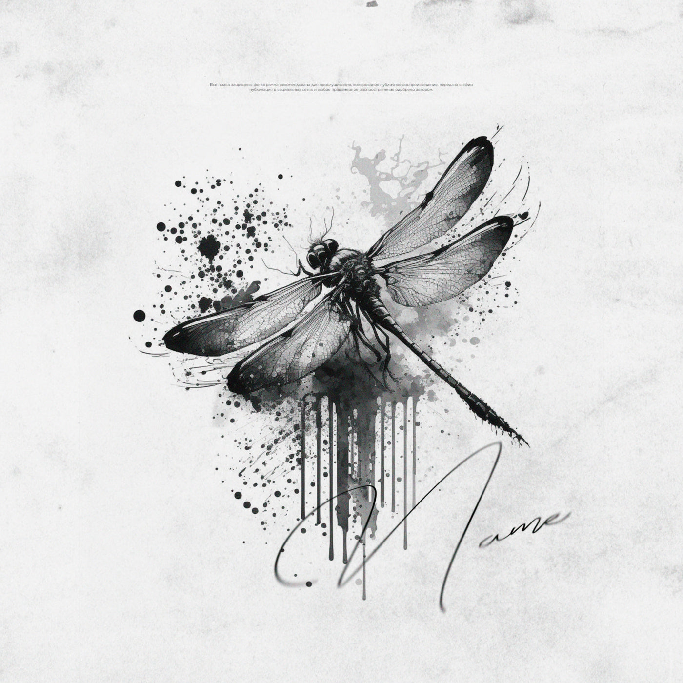 Dragonfly ink flight