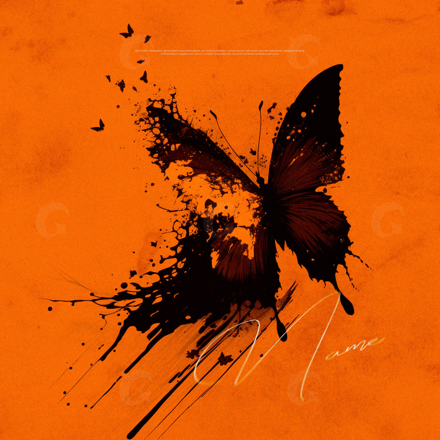 Splattered butterfly wings