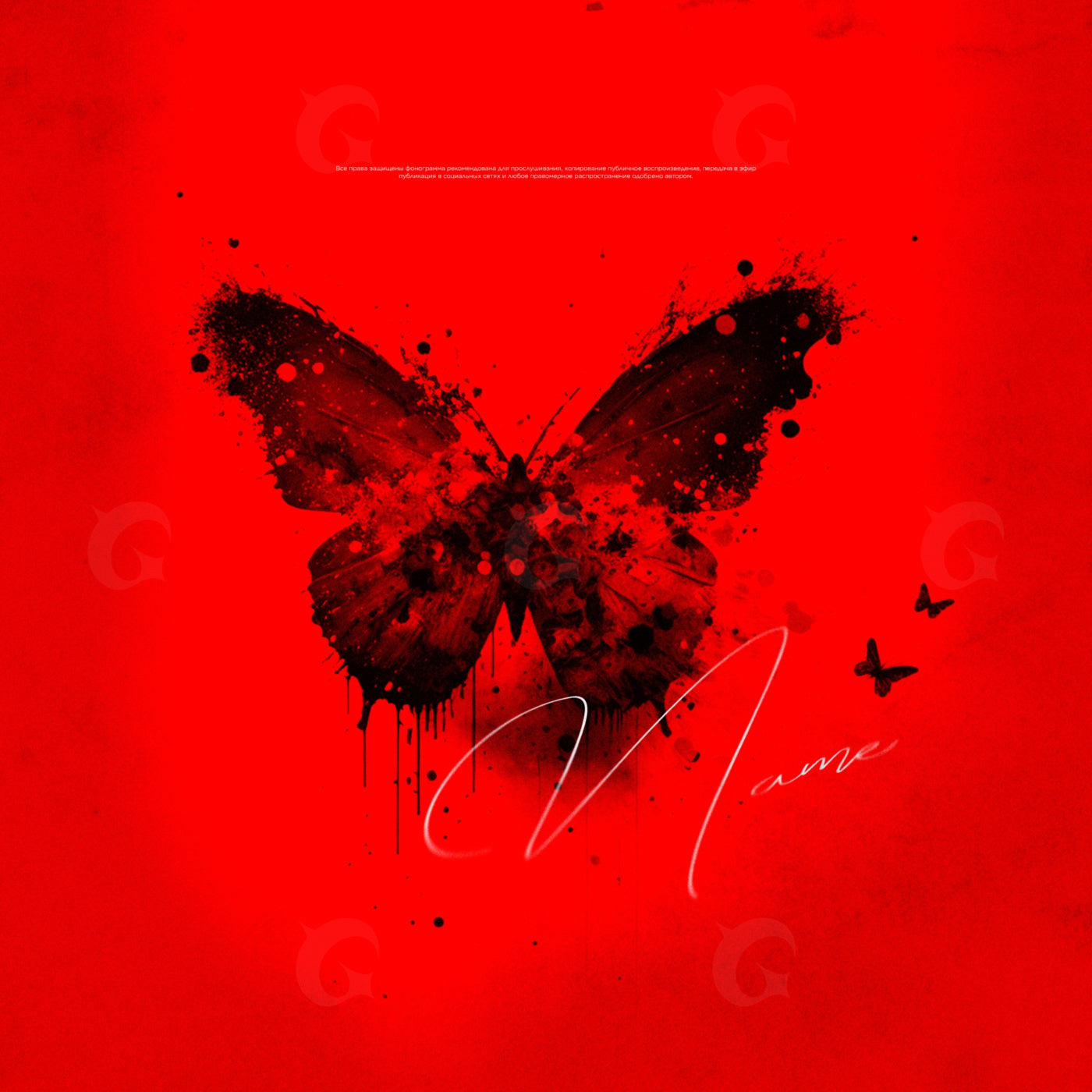 Midnight butterfly drift