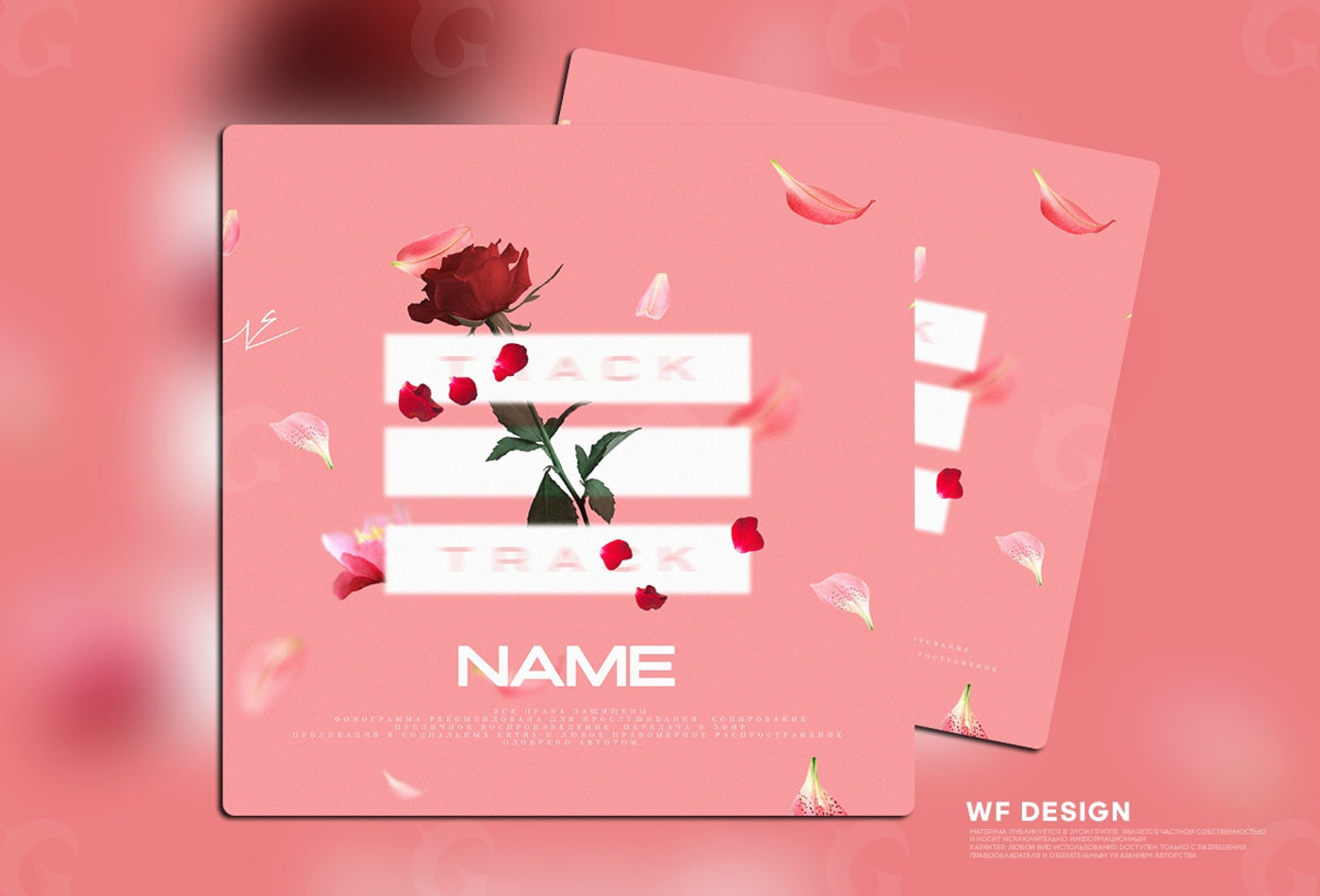 Rose petals floating poster