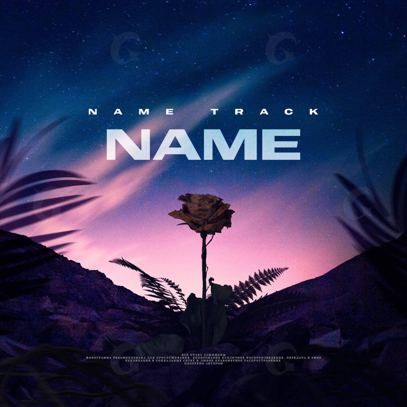 Midnight rose horizon