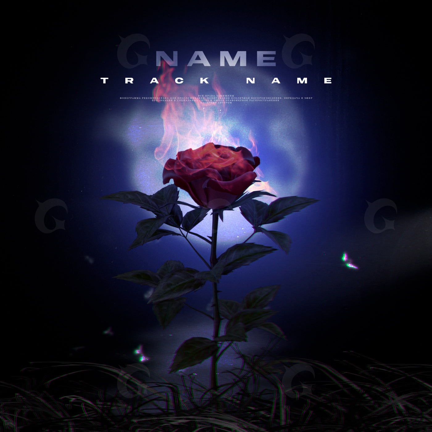 Flaming rose at night