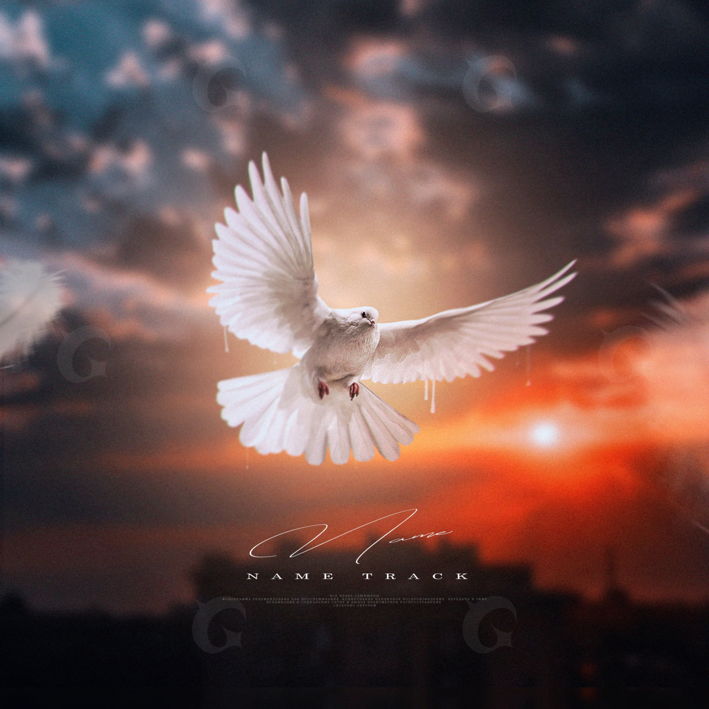Dove over sunset
