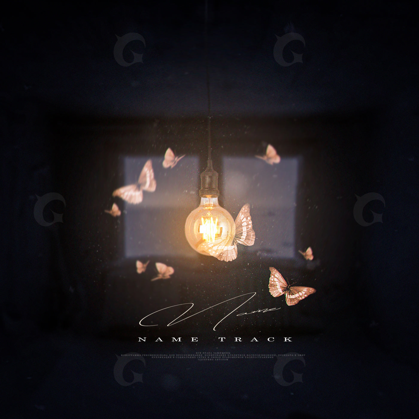 Moths around light