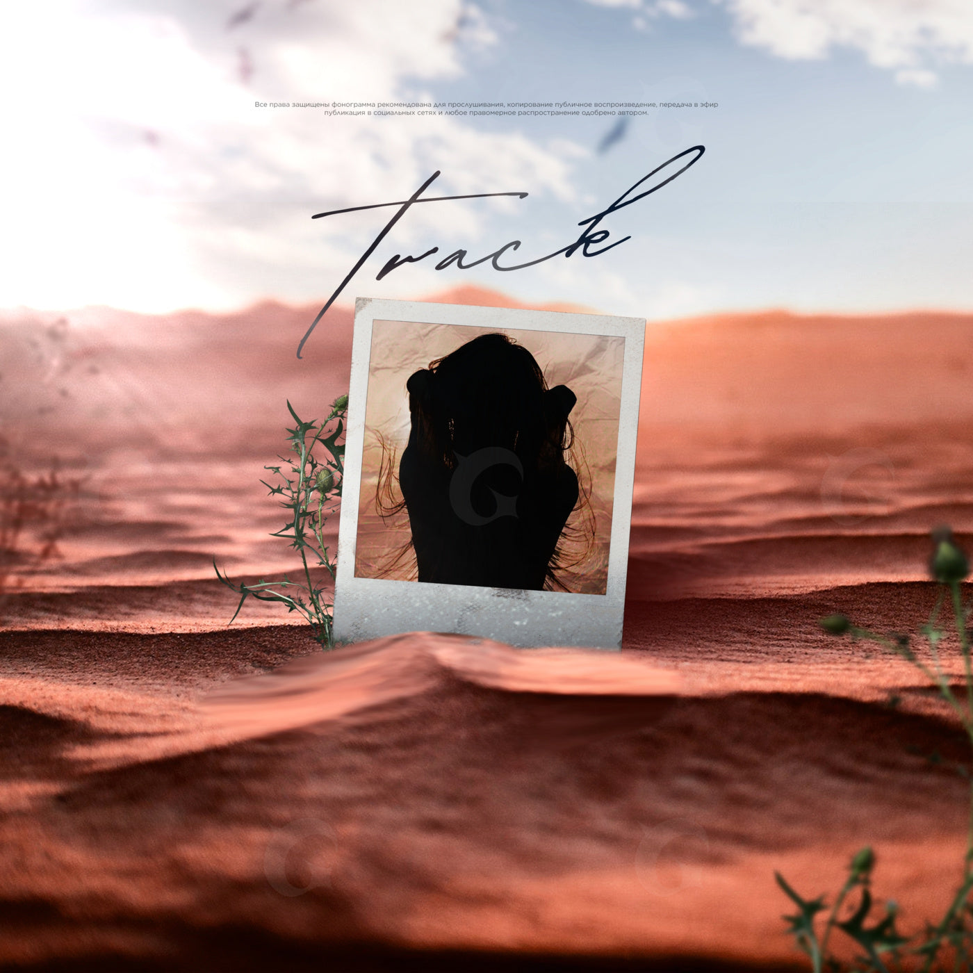 Desert polaroid silhouette